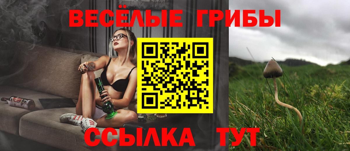 Арзамас  Псилоцибиновые грибы Psilocybine cubensis  Вход с VPN 